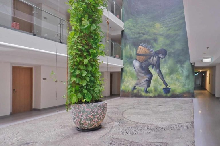 The Hotels Experience